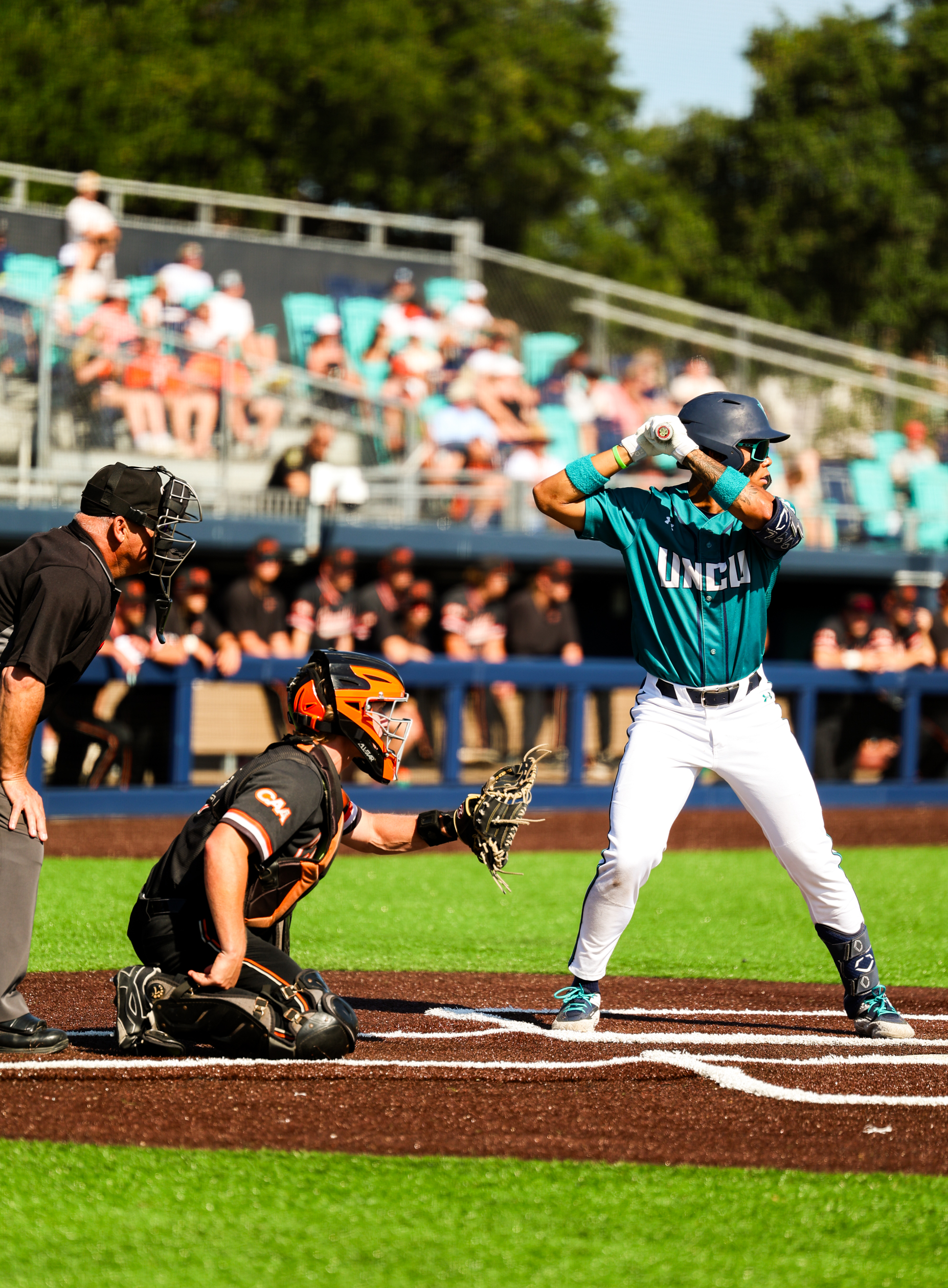UNCW Creatives – Baseball